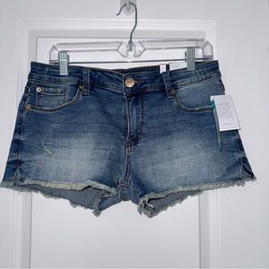 STS Blue Denim Shorts 29